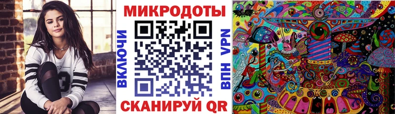 Купить закладки  Пыталово  Псилоцибиновые грибы MAGIC MUSHROOMS 